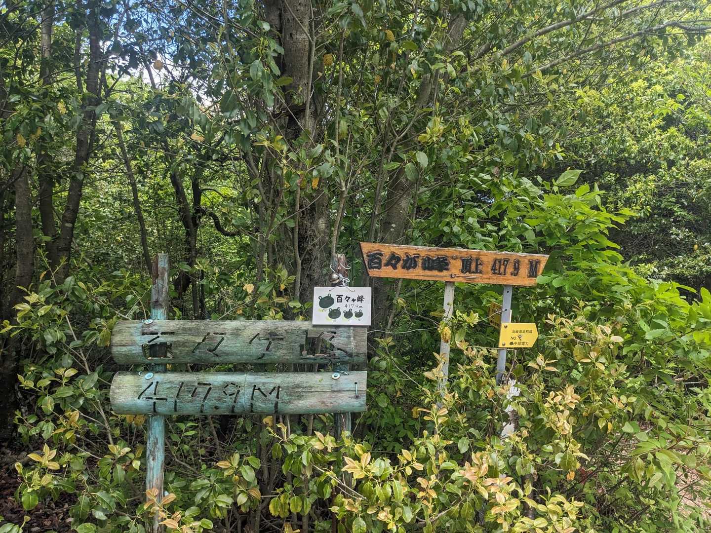 百々ヶ峰に到着🙌