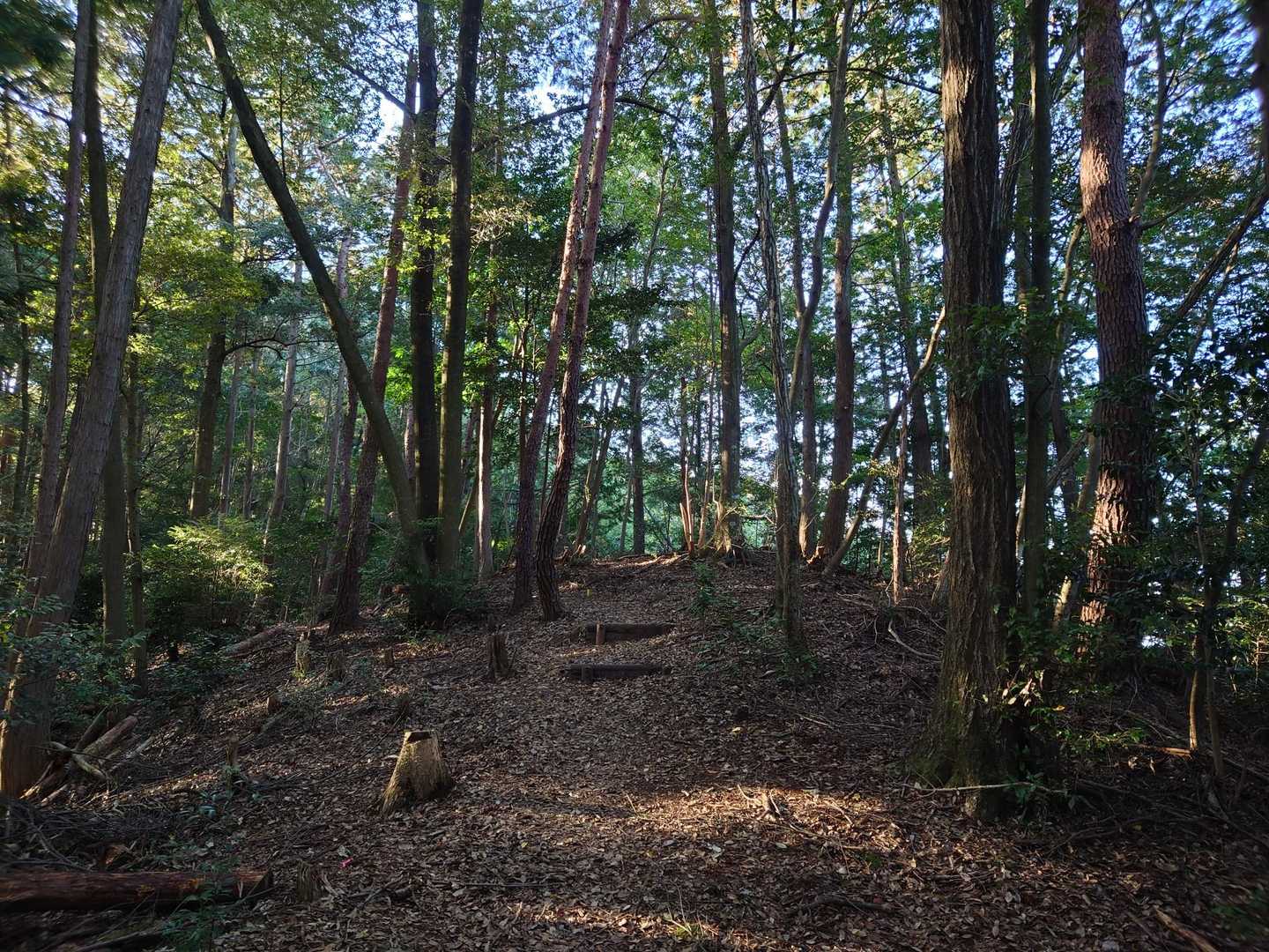 進んでいます🧑‍🦯🧑‍🦯