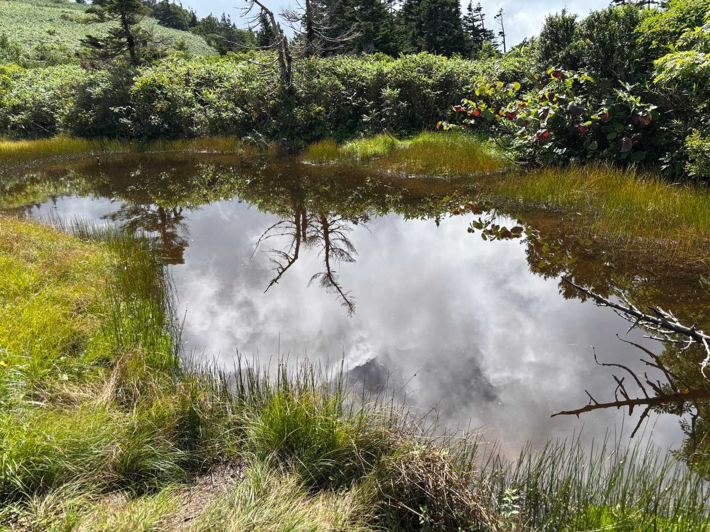 森吉山登山口-一ノ腰-雲嶺峠-森吉神社-森吉山 往復コースの写真