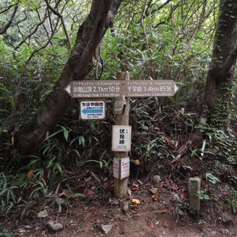 ひたすらコンクリの急登を終えたらあと少しでミャクミャクの待つちはや園地