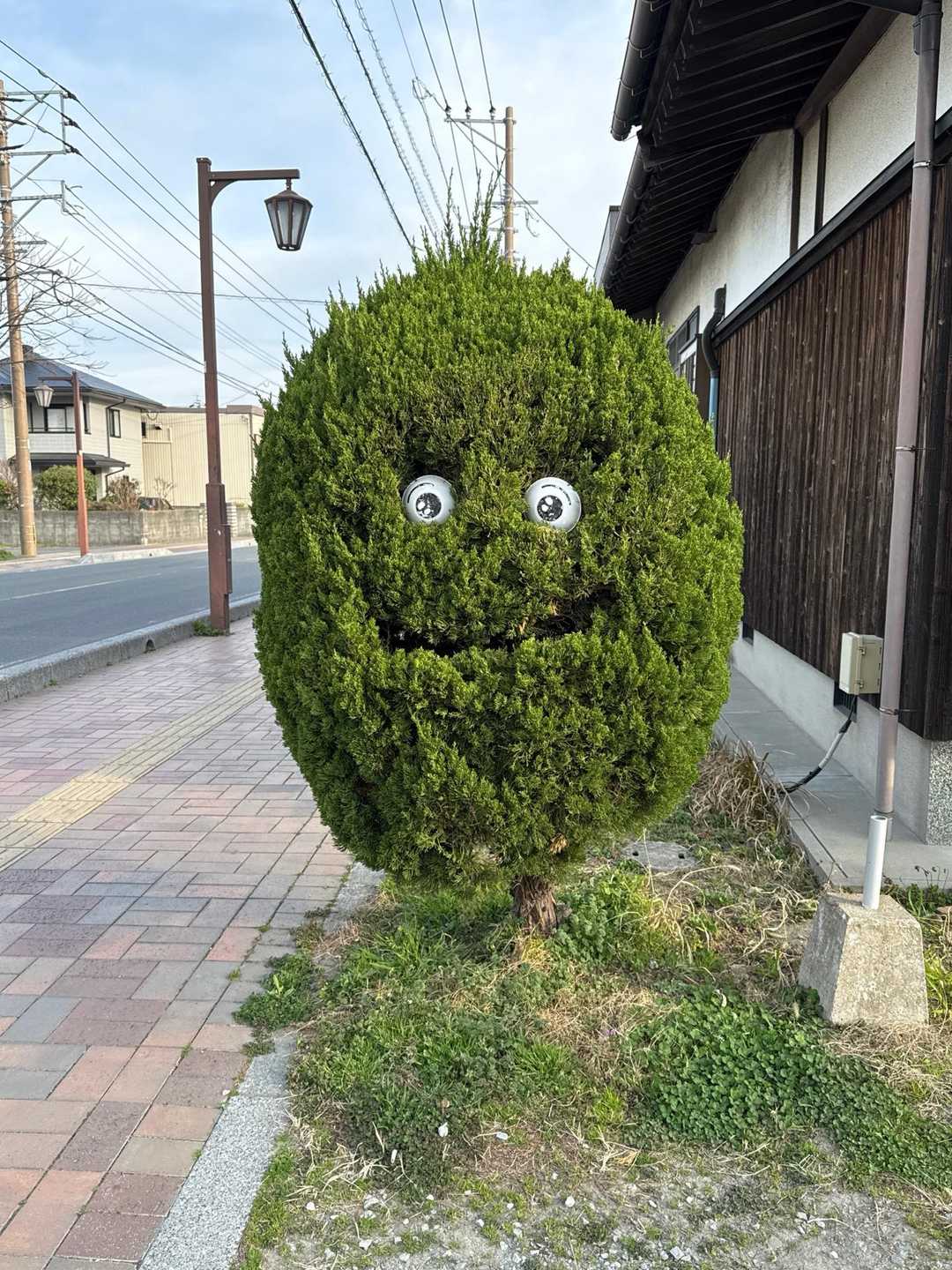 かわいい😍