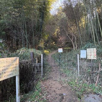 ゲートを開けて