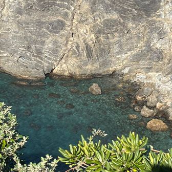 エメラルドグリーン🟢綺麗な色です✨