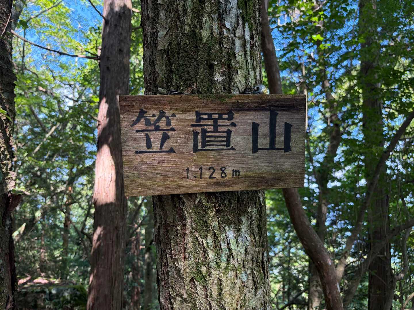 もう少し涼しいと思ったのに🤣
あまり風が通らず暑い🥵