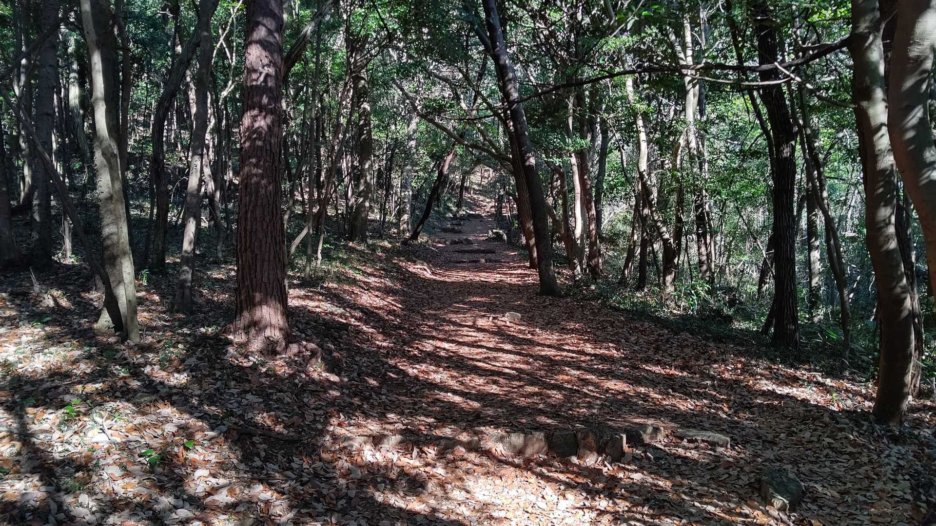 歩きやすいです👌