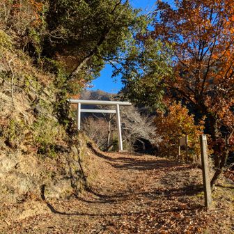 右手に熊野神社⛩️