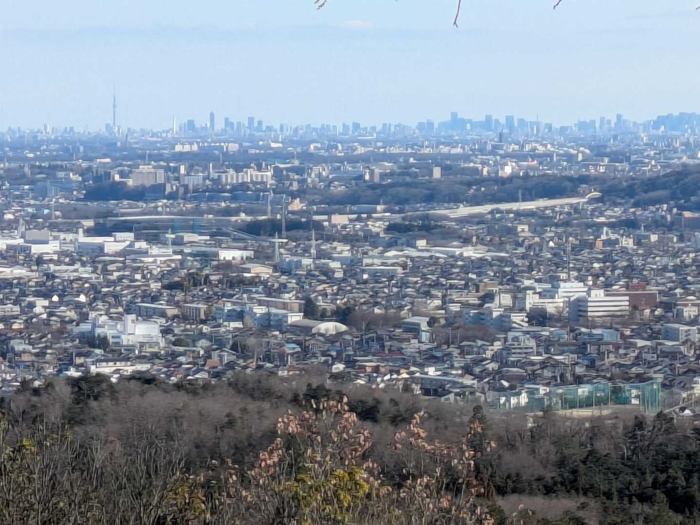 天覧山-多峯主山 周回コースの写真