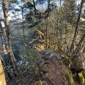 やせ尾根好き🎶