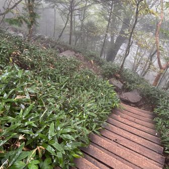 なかなか厳しい登り😥
まだまだ半分くらいだ💪