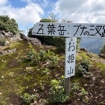 気分よく楽しみながら歩いてお姫山まで到着