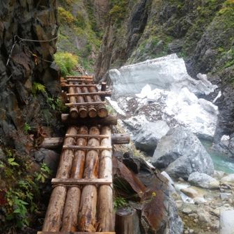 日曜日のSHINさん