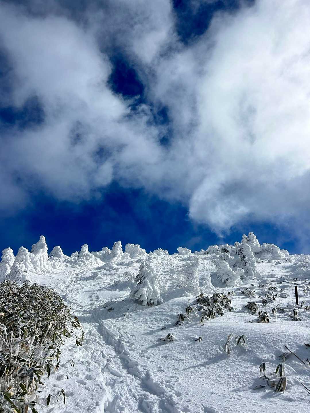 山頂方面は青空ですが