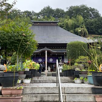 真福寺の納経所の光明寺　札所ではないけれど、真福寺には納経所がないので、こちらでお願いします。