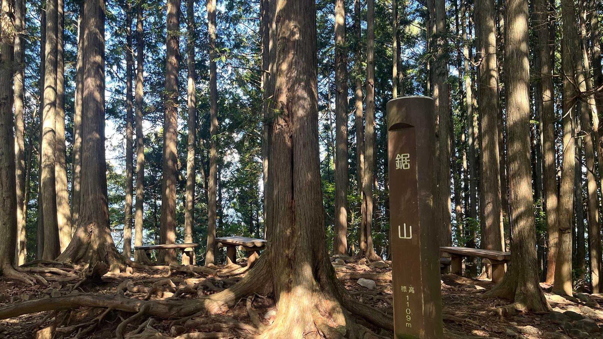 東京都の鋸山ゲット