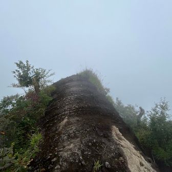 見晴らしは何も見えず、即移動
