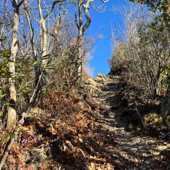 やっと⛰️後古光山頂上