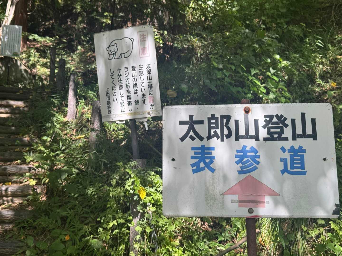 あーー
熊居るんだ🐻