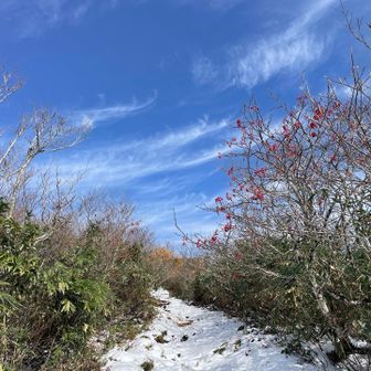 5cm以上10cm以下の雪あり⛏️スベル〜