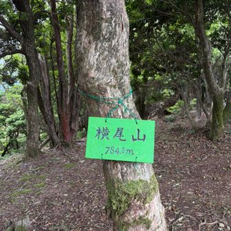 横尾山山頂
