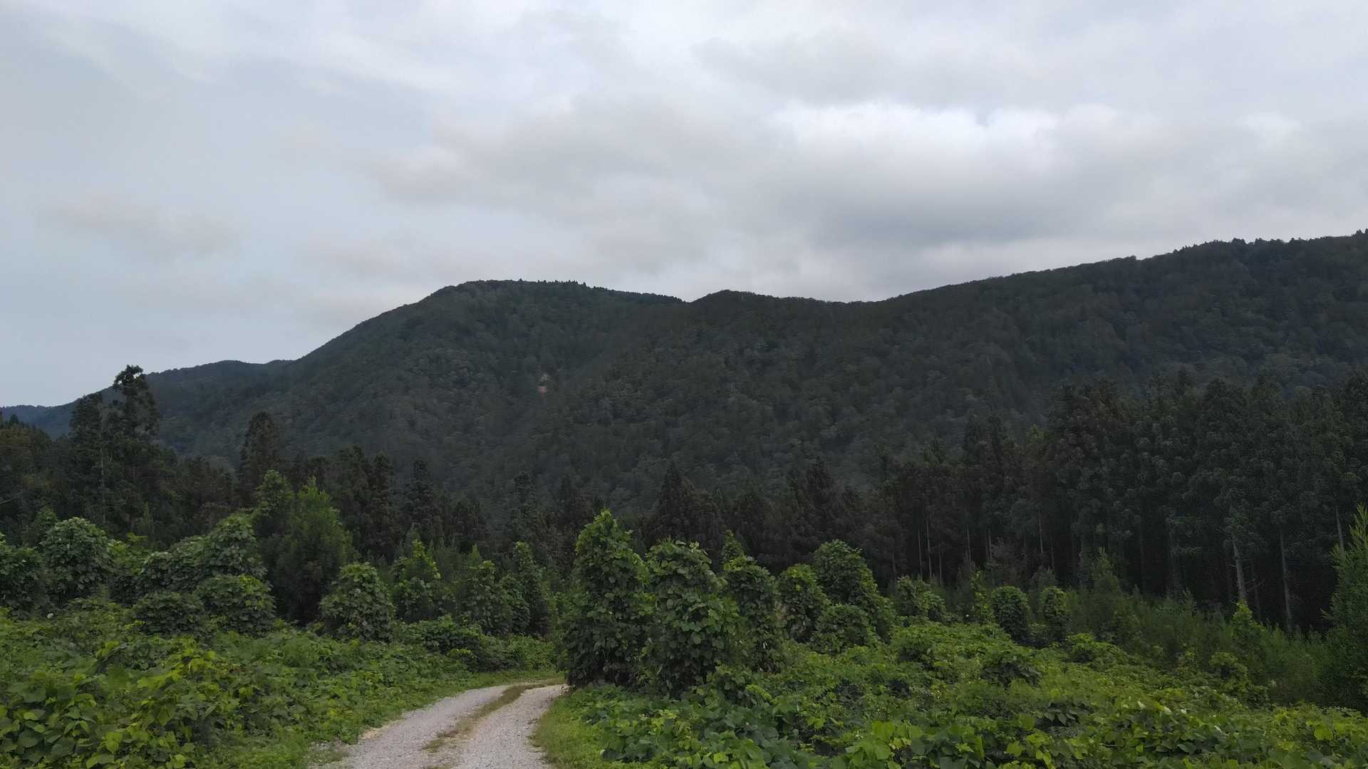 ここから入山