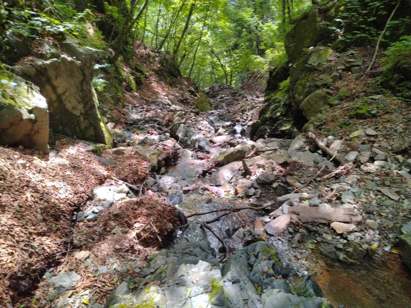 ここから沢の中を下ります(¯―¯٥)
登山道は不明となります(>ω<)
下りで良かったです。沢登りは登山道が分からないので私には無理なコースです😭