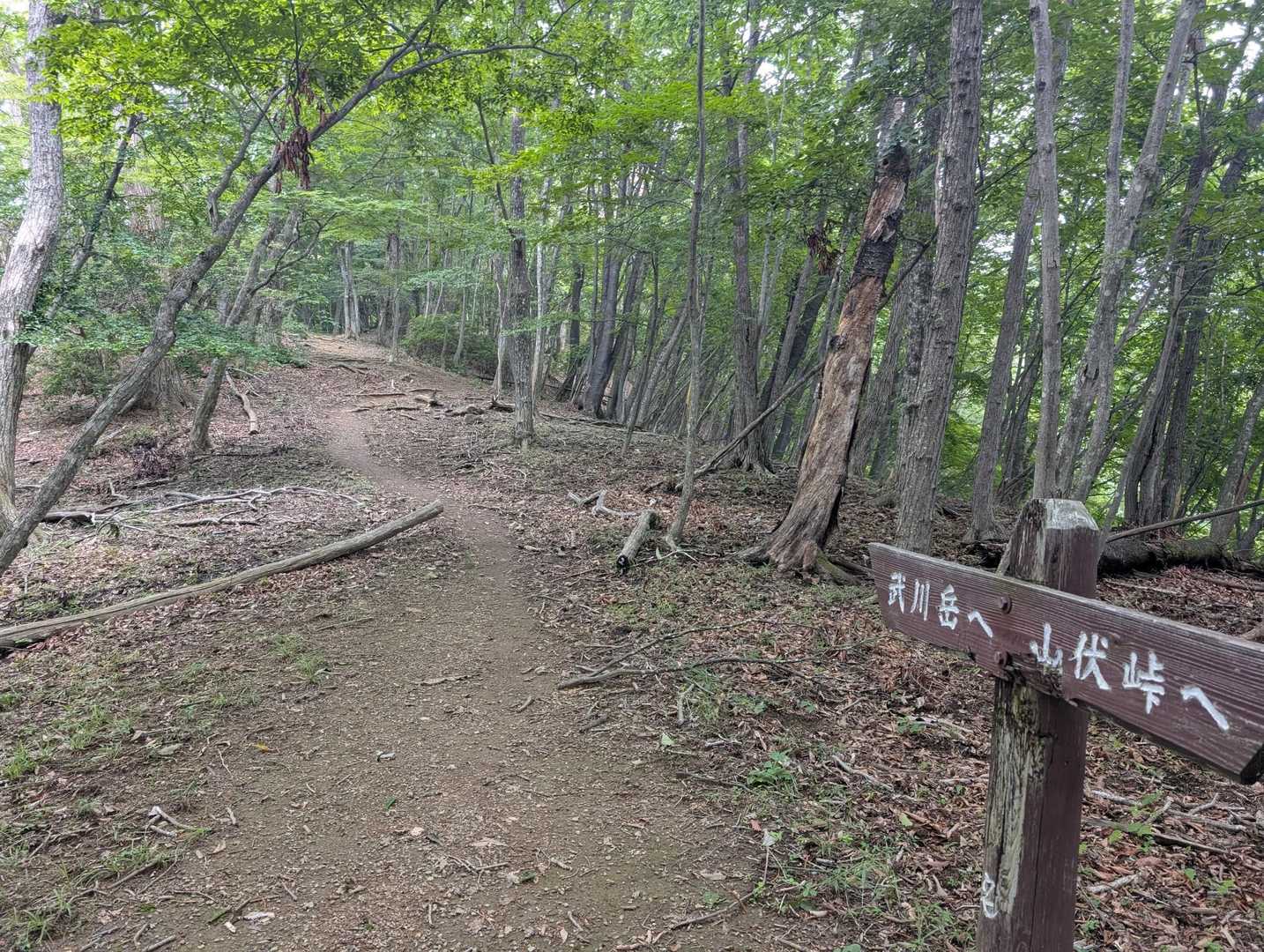 「武川岳へ」とあります！よしっ！😕
後もうひと踏ん張り！！

YAMAPの標準タイム15分で武川岳に到着する様ですが、ぽっさーと歩くまるちゃんは、17分でした〜！😁💦