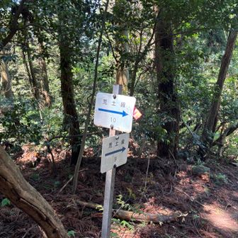 あとは平坦な道のり😁