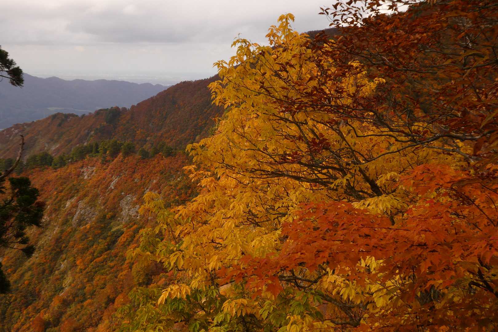 焼峰山（加治川治水ダム登山口）の写真