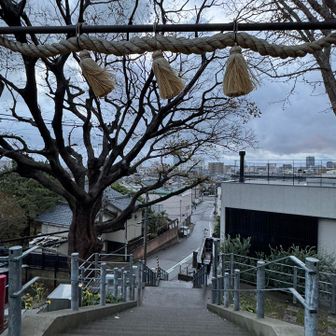 てか高台に上がると風強すぎ…
風のギアが2段階くらい上がった感じ…

神社のフサの斜め具合が強風を表してます🤔