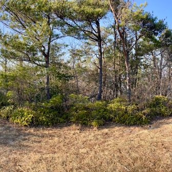 割と広々してますな。