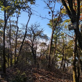 横沢丿頭は王岳から来るには低すぎてかなり下り登り返しが大変で、五湖山から来るには遠すぎるやっかいな所にある困ったちゃんです🥹