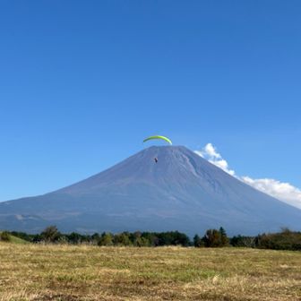 パラグライダーが着陸しようとしていました。