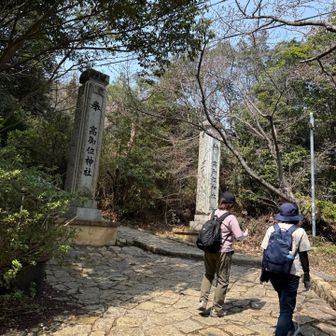 成井登山口からだと
最短で山頂へ行けるからね
