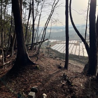 自然破壊のメガソーラーや！😡