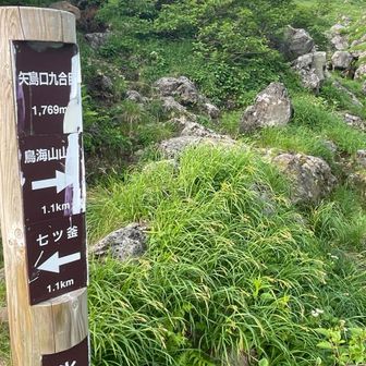 九合目は氷の薬師