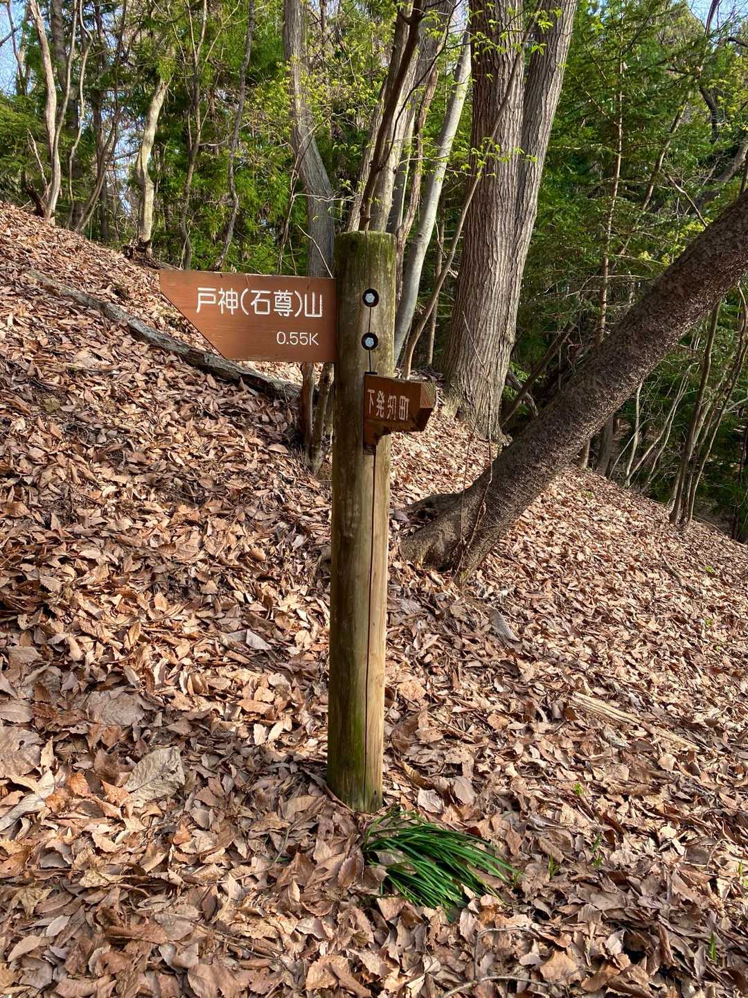 前回、観音寺から登った時は、高王山に向かったのですが、今回は直接戸神山を目指します。
