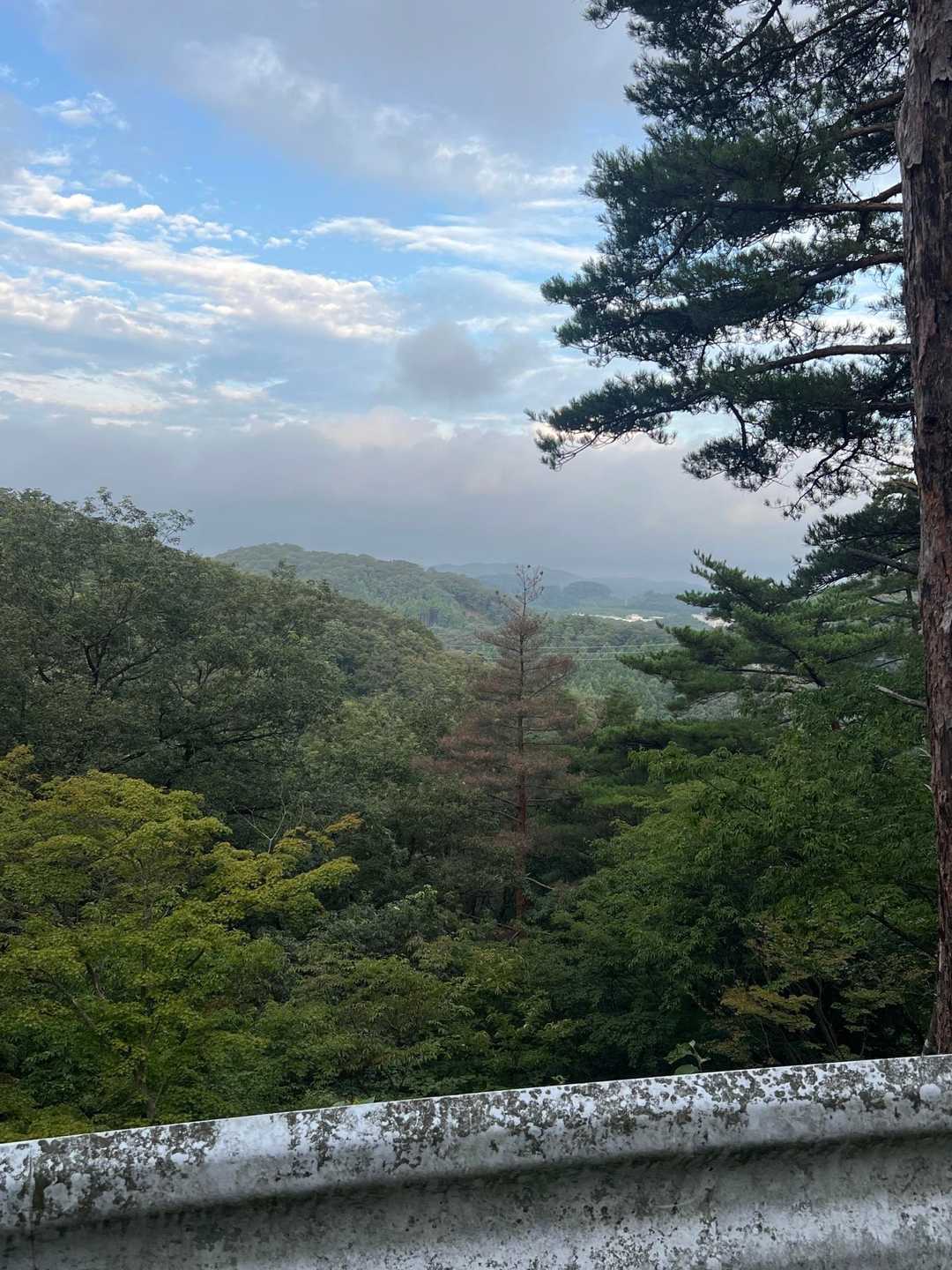 烏峠 往復コースの写真