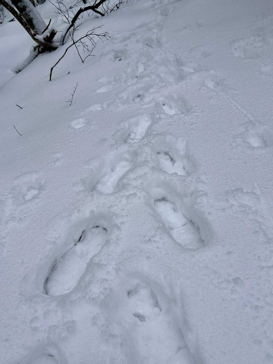 雪は軽いけどしんどい☃️