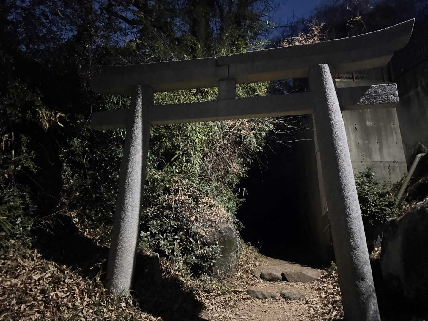 無事に下山😢
本日もありがとうございましたm(_ _)m