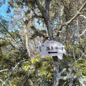 和気鵜飼谷温泉登山口に向かいます。