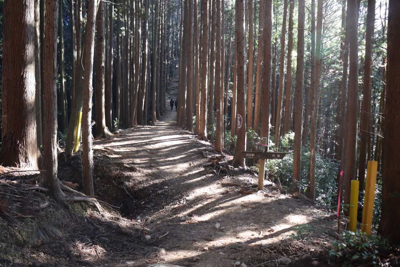 ここの分岐をまっすぐ行くと御岳駅ですが、今日は左の沢井駅方面へ。