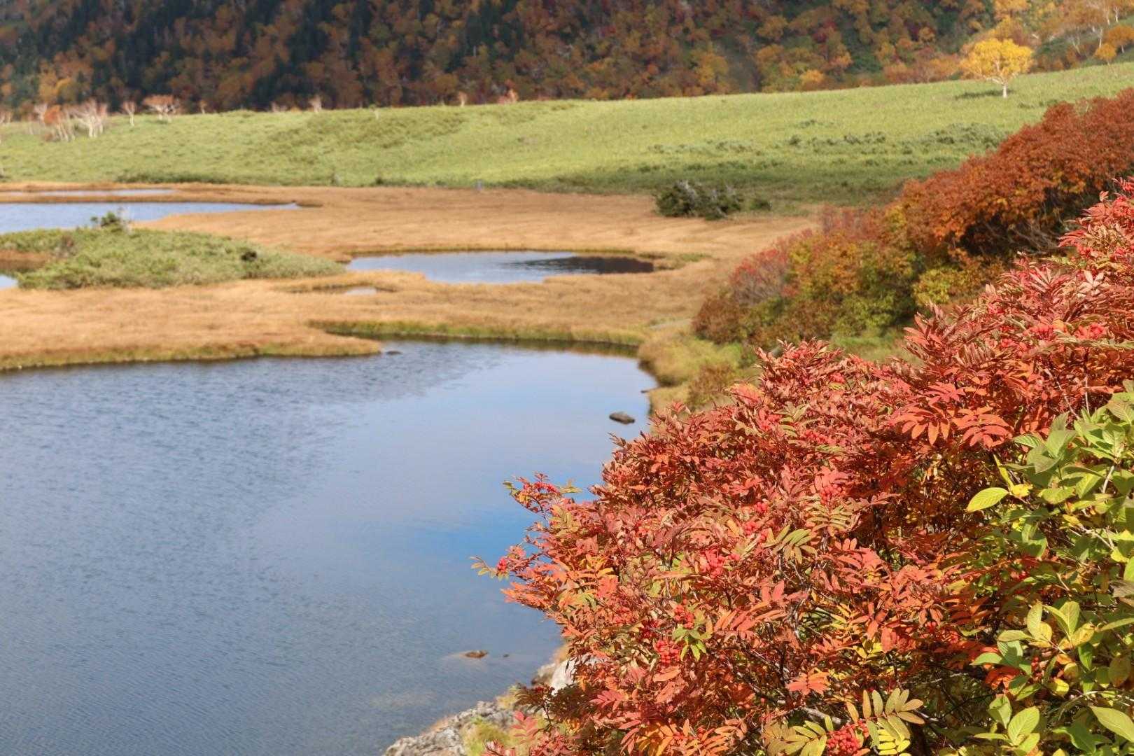 やっぱり少し🔴が抜けてしまってるけど、それても十分に美しい🤗
今日ここに来れてホントに感謝です✨