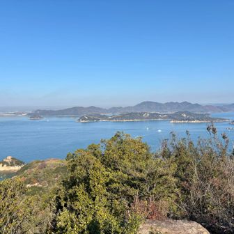 展望所からの眺め。