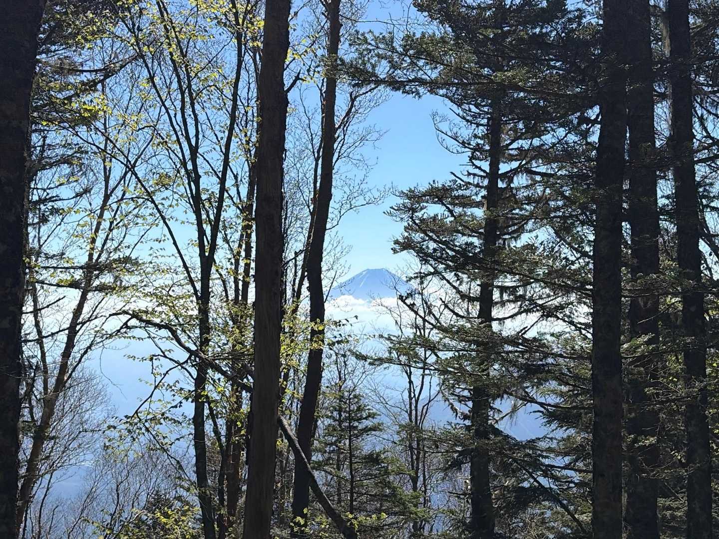 富士山〜😍♪