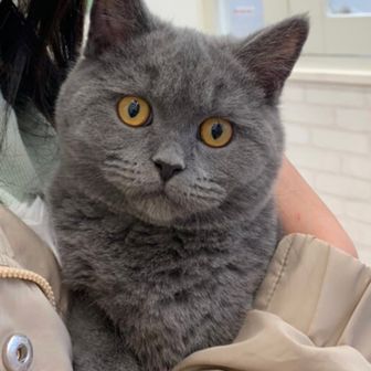 まなぶ７７１２