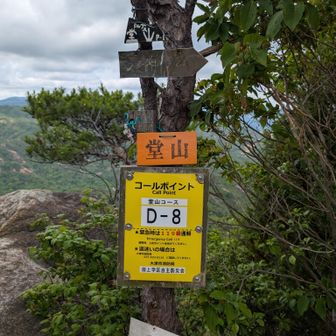 山頂
途中汗をかいたが強めの涼しい風が吹き抜ける。