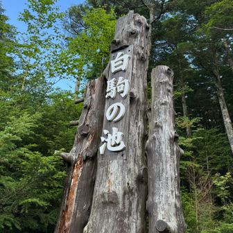 本当に良かった‼️
無事に下山できた😃