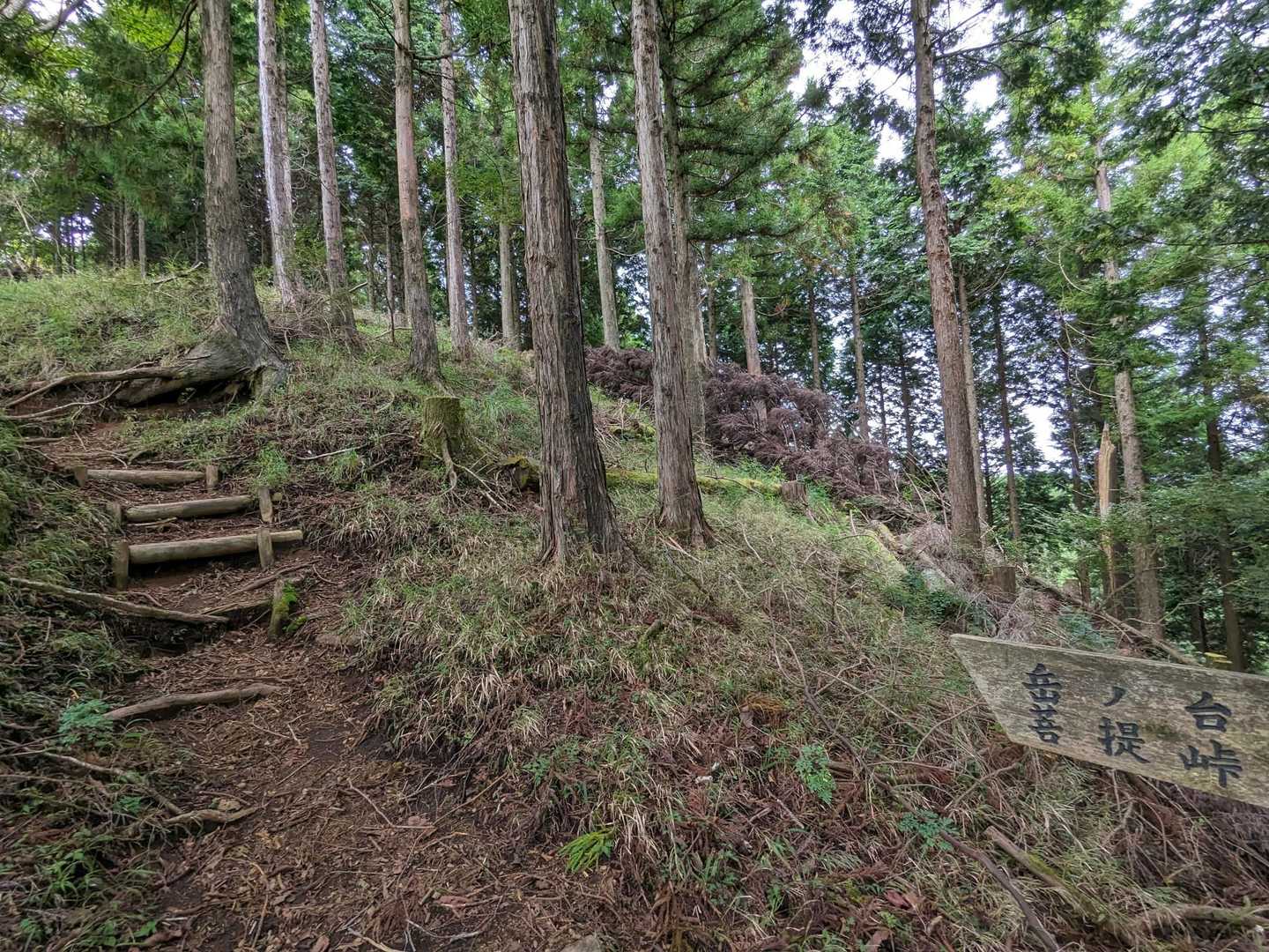 ヤビツ峠-旧ヤビツ峠-岳ノ台-菩提峠-表尾根縦走コース登り 周回コースの写真