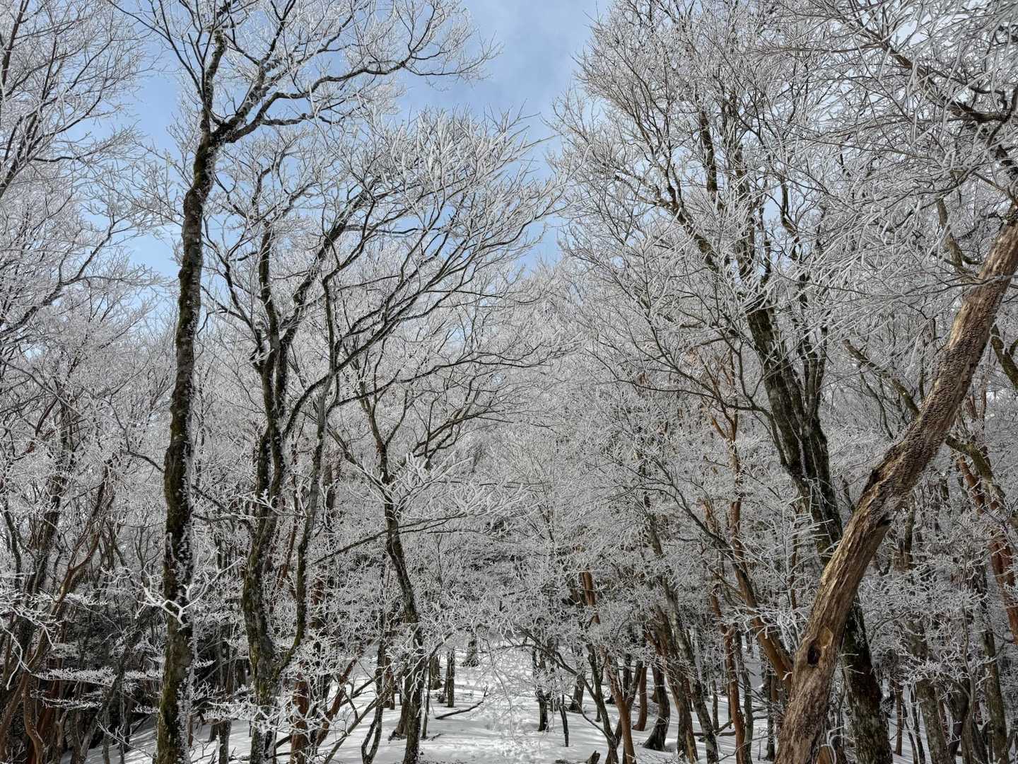 三畝峠-三峰山-新道峠-新道コース登山口 周回コースの写真