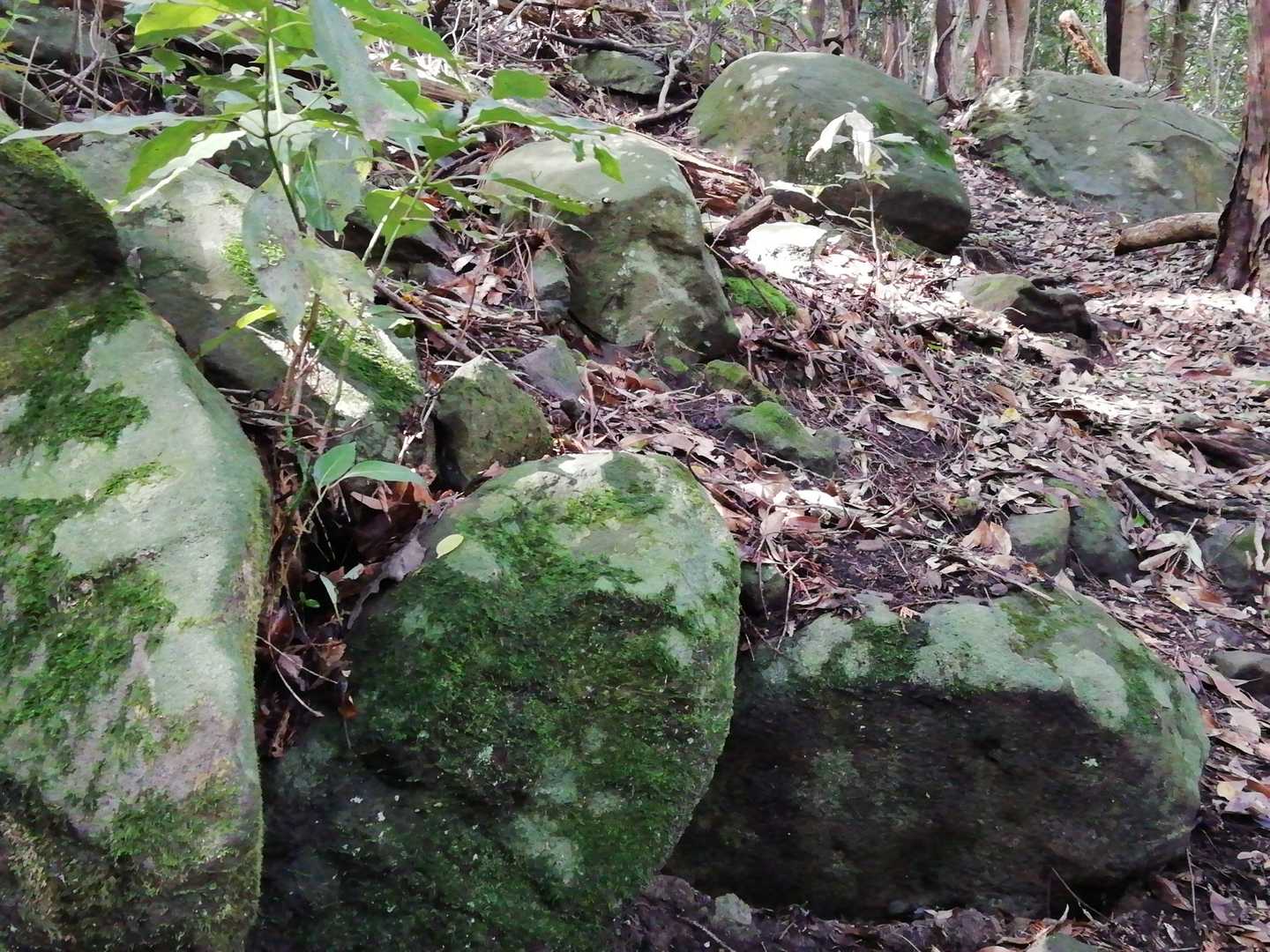 露岩が目立つようになってきた。